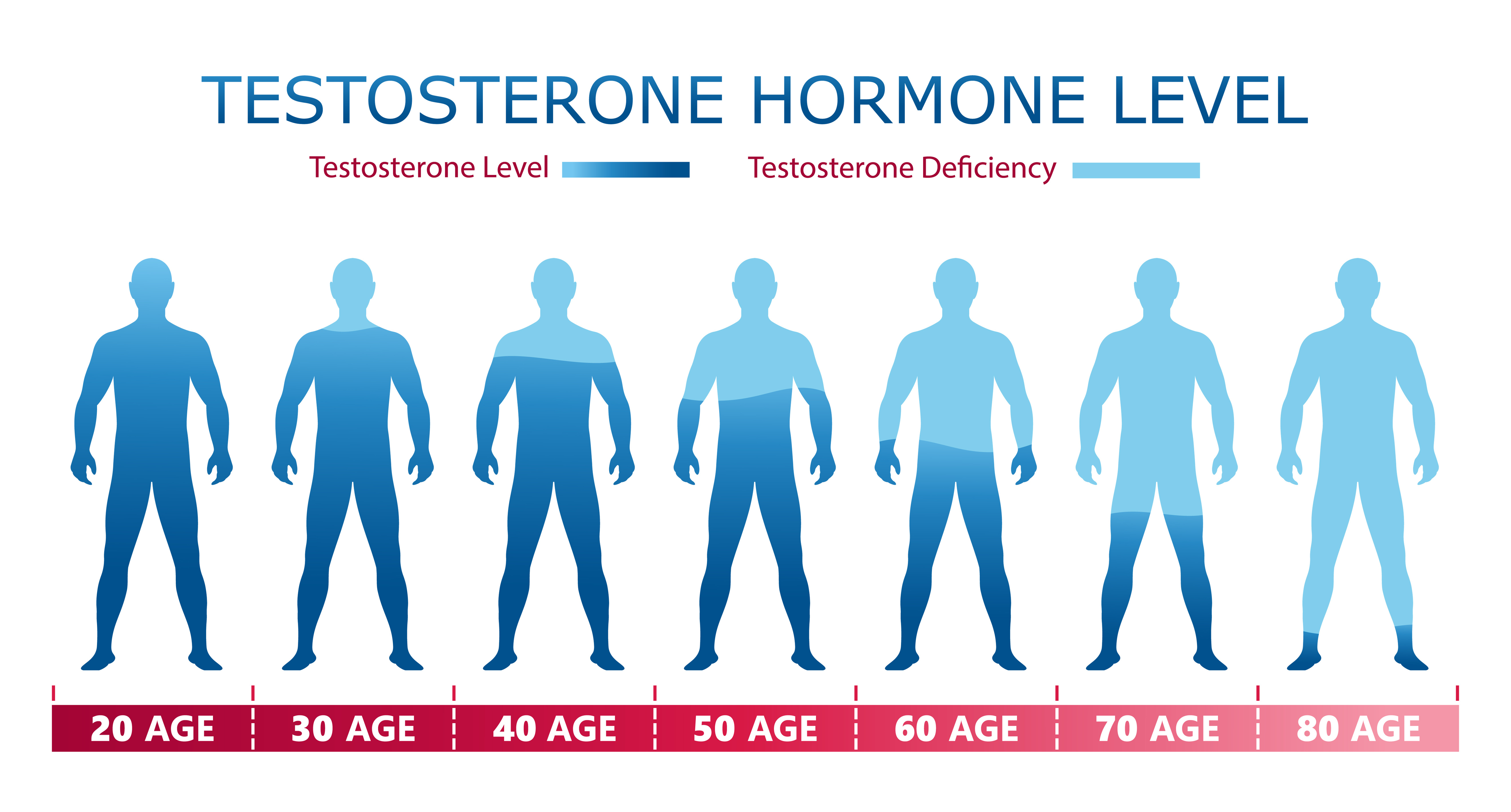 Low testosterone levels.jpeg